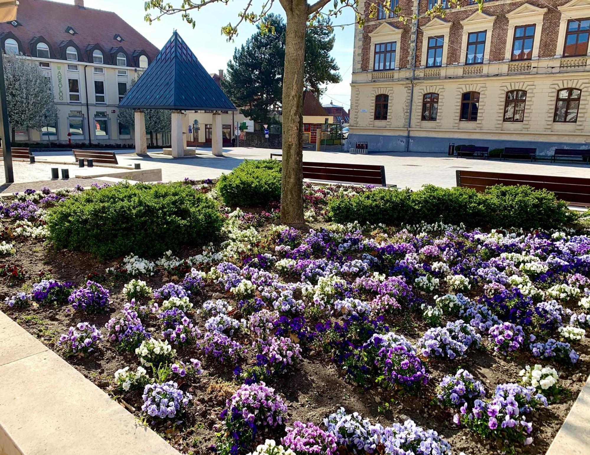 Ciao Lilla Apartman Keszthely Bagian luar foto